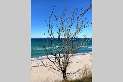 Apartamento ... Die Ostsee Direkt Vor Der T�r