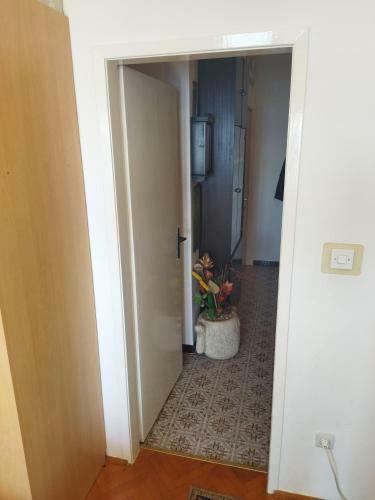 Apartment Sunny