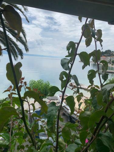 Apartamento Seafront Aparment