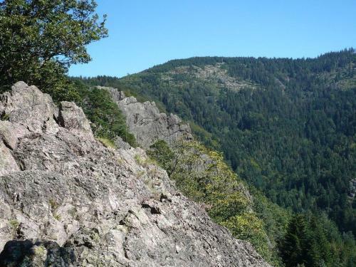 Apartamento Ferienwohnung Sylvianne