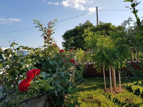 Apartamento Kuca Za Odmor Luca