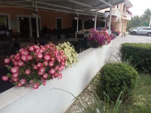 Hostal Pansion Restoran Marin
