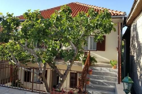 Apartmani Ante