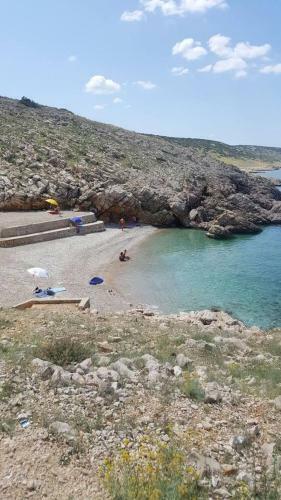 Apartmani Ante