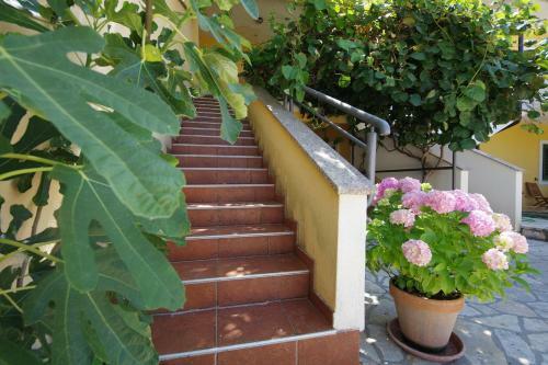 Apartman Marija