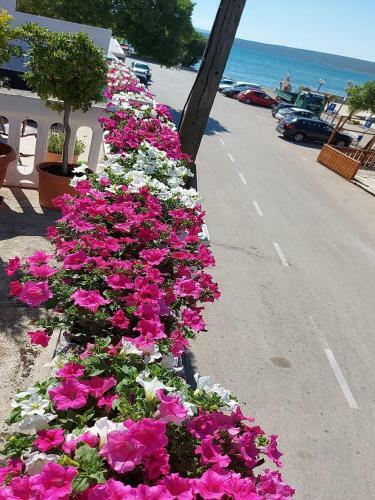 Apartment Marjan