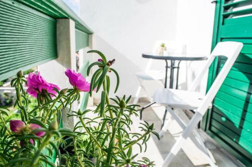 Apartmani Ada 1