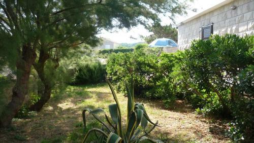 Apartamento Villa Arija