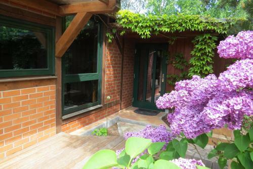 Ferienhaus M�ve