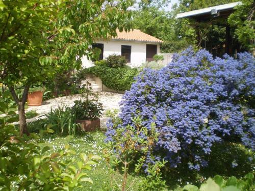 Holiday Home In Medulin/istrien 9196