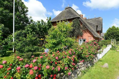 Apartamento Ferien Unterm Reetdach Whg 02