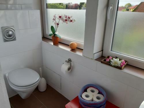 Hostal Bassener Monteurwohnung