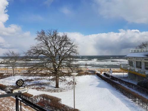 Apartamento 2 Raum Whg. Kresse Mit Terasse