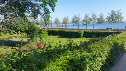 Apartamento 2 Raum Whg. Kresse Mit Terasse