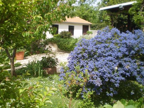 Lavanda Vacation Home.