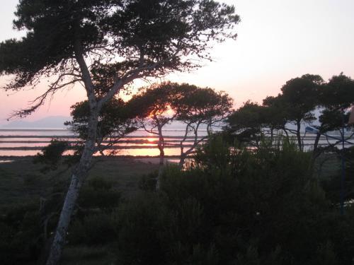 Residence Hoteliere La Pinede Bleue