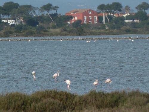 Residence Hoteliere La Pinede Bleue