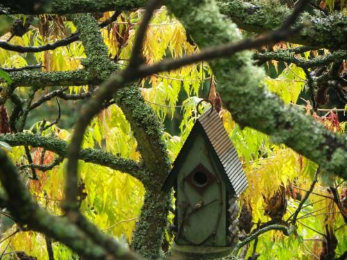 Bed & Breakfast Maison D'h�tes De La Verri�re