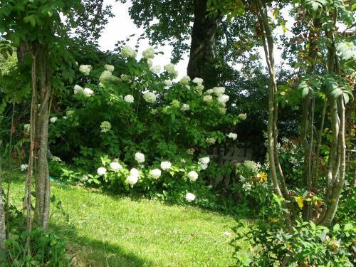 Bed & Breakfast Maison D'h�tes De La Verri�re