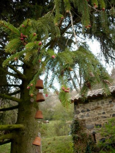 Bed & Breakfast Maison D'h�tes De La Verri�re
