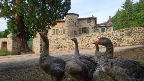 Bed & Breakfast Chateau De Durianne