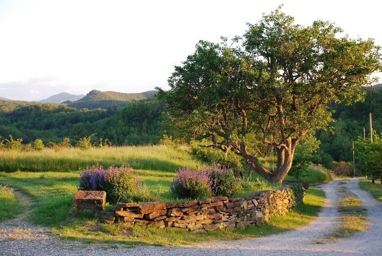 Hostal Domaine Bellelauze