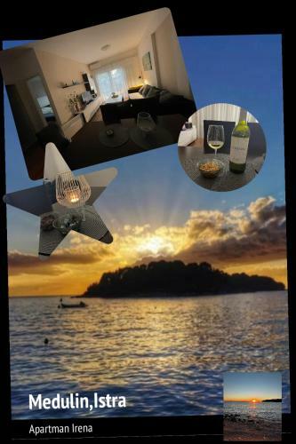 Apartman Irena
