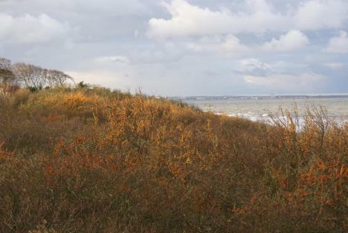 Apartamento Ostsee Ferienwohnungen