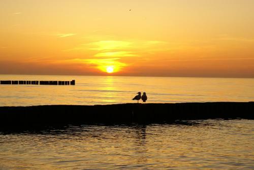 Apartamento Ostsee Ferienwohnungen
