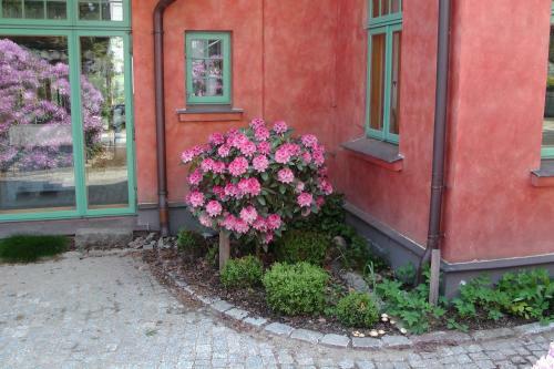 Ferienhaus Am Wasserturm F�r 6 Erwachsene Und 9 Kinder