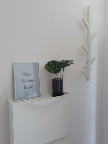 Apartma Solmar