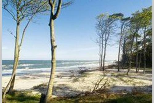 Apartamento Ferienwohnung 700m Vom Strand