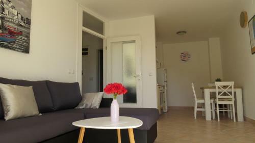 Apartments Lucia
