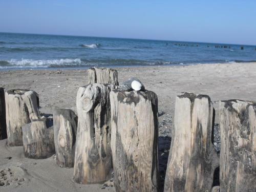 Hotel Zur Ostsee