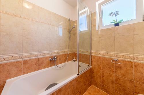 Apartment Vivis