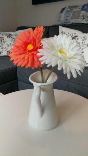 Apartamento Ferienwohnung Kwi 33 Eg