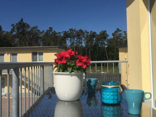 Apartamento Ferienwohnung Kwi 83 Og "namenlos"