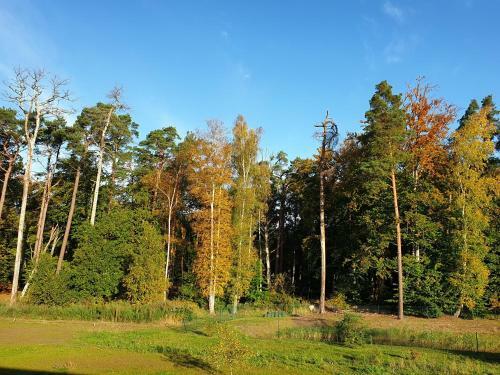 Apartamento Ferienwohnung Kwi 9 Og "ostseezauber"