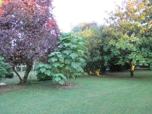 Bed & Breakfast Les Ecureuils