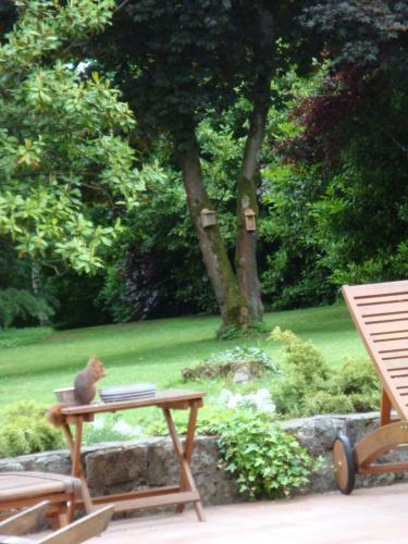 Bed & Breakfast Les Ecureuils