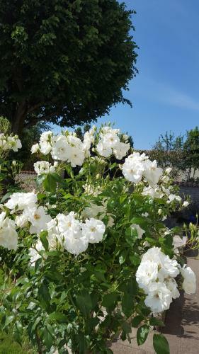 Bed & Breakfast La Closeraie