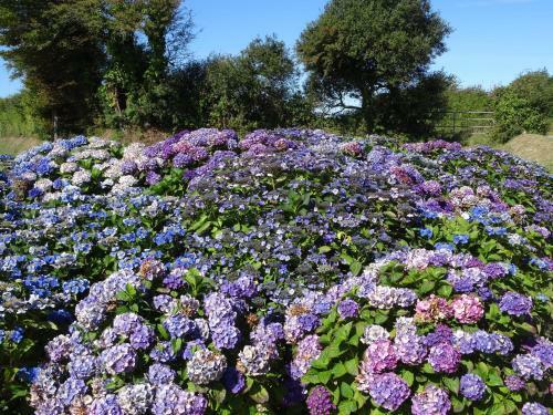 Apartamento G�tes Rose Des Sables