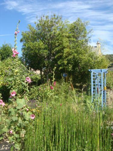 Bed & Breakfast La Medina