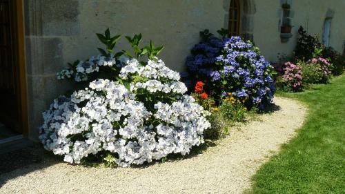 Bed & Breakfast Manoir De Lesplouenan