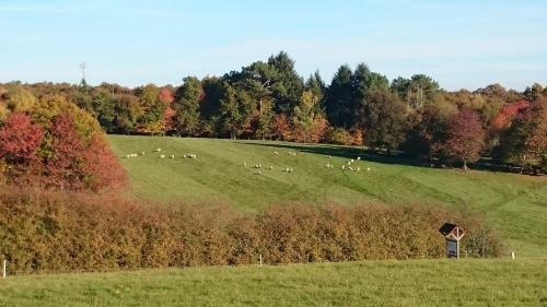 Domaine De Maumont