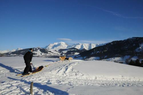 Hotel Chalet Du Vivier