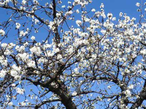 Bed & Breakfast La Bastide De Fontaille