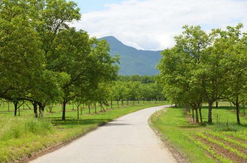 Bed & Breakfast La Bastide De Fontaille