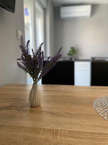 Apartamento Villa Maleo