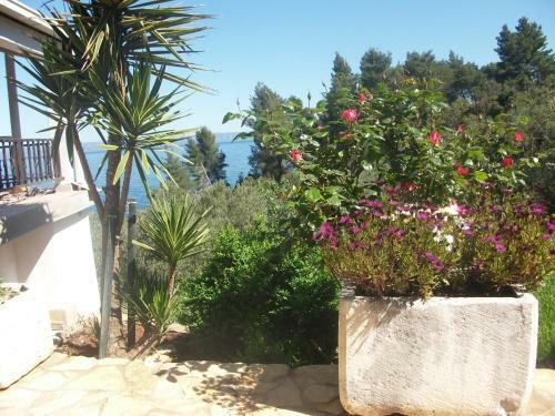 Hostal House Sardeli?